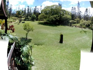 "Fisheye" Yard